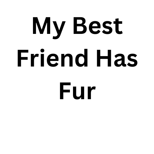 My Best Friend Had Fur
